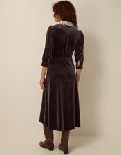 Leith Lace Collar Velvet Midi Dress, Brown (CHOCOLATE), large