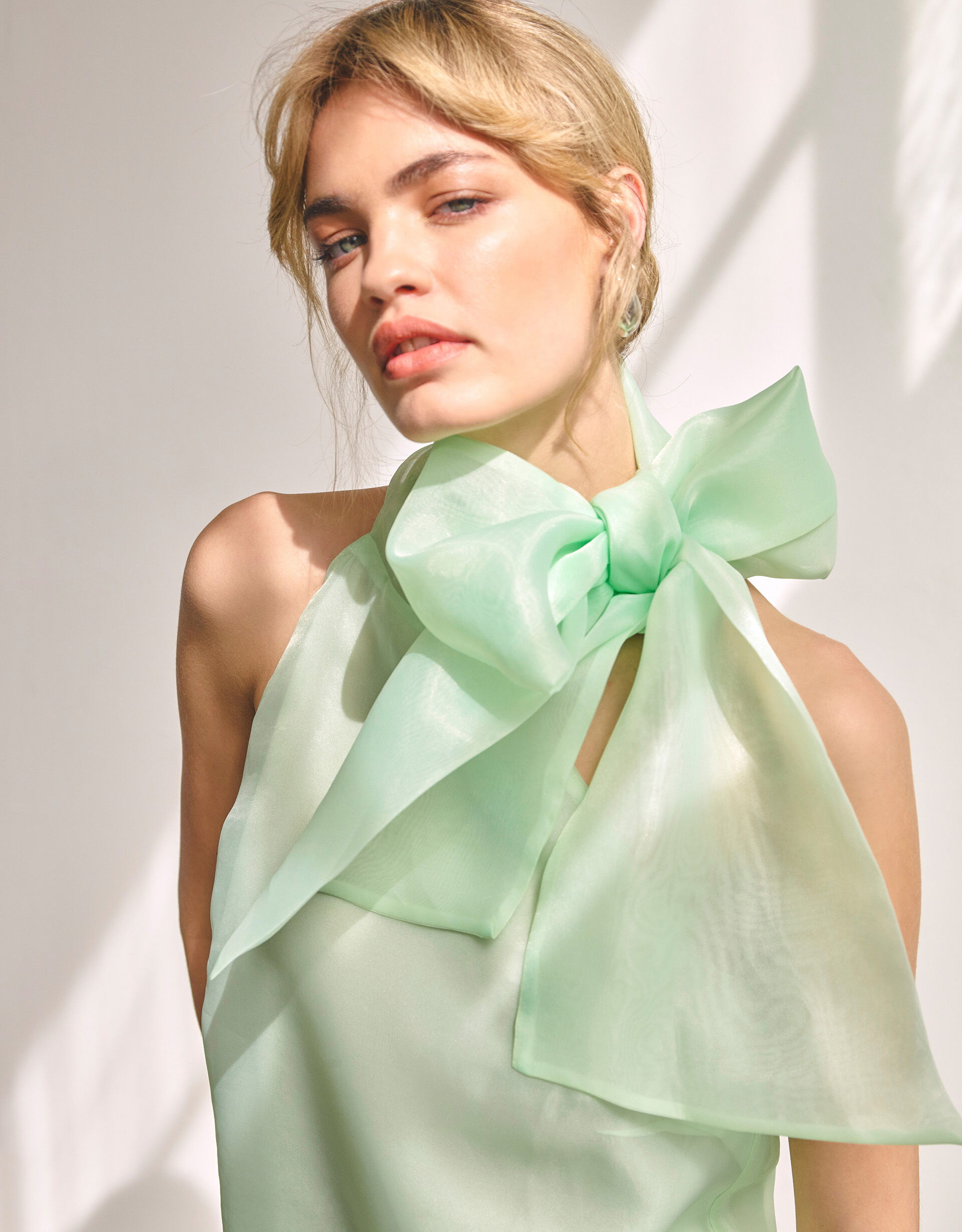 Vera Organza Top Green