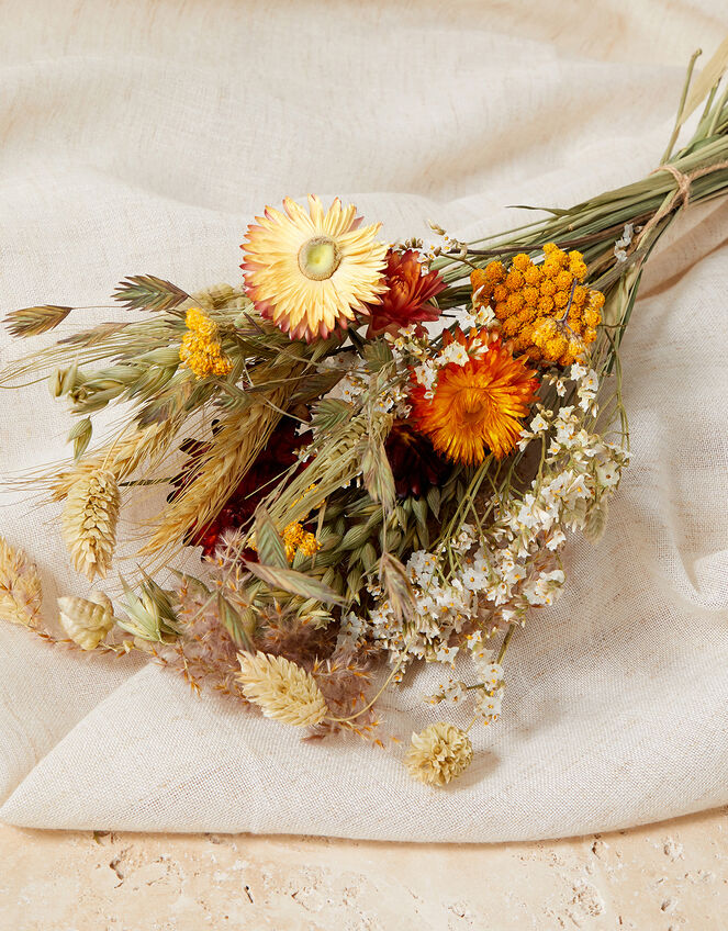 Me and My Bloomers Dried Flowers, Orange (ORANGE), large