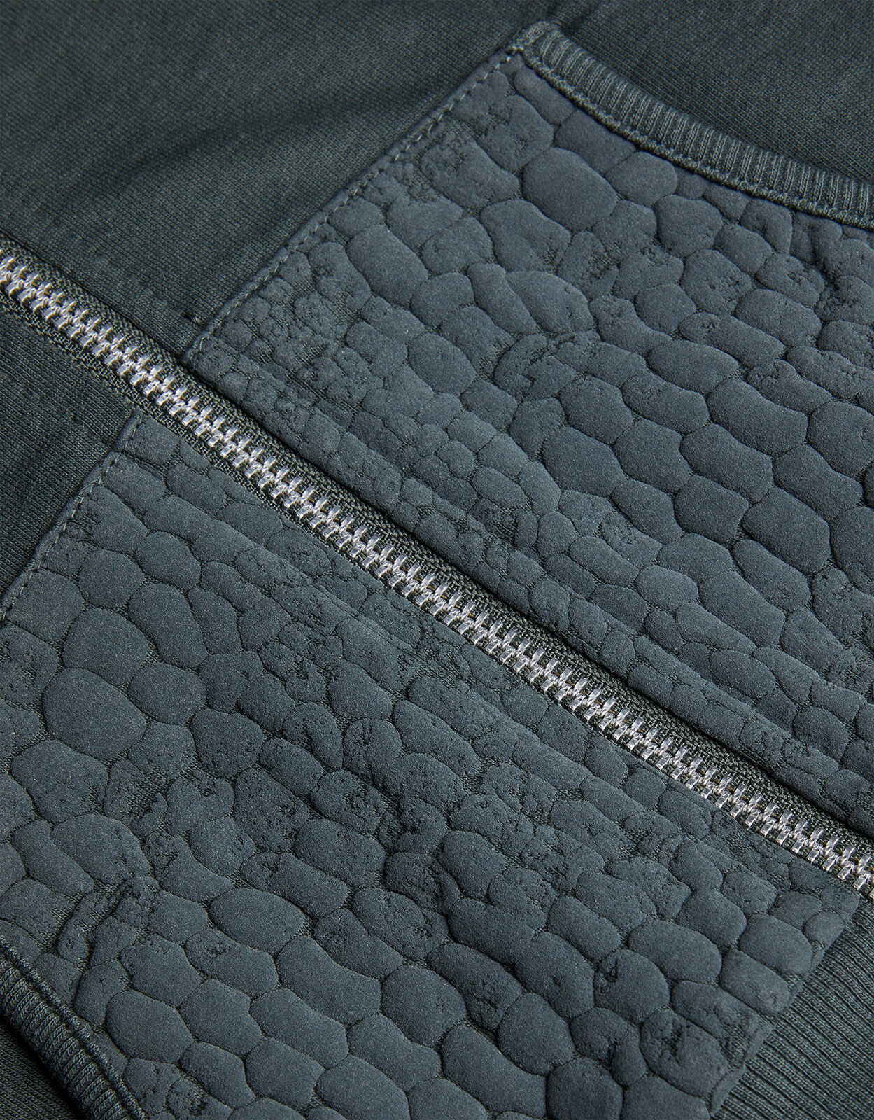 isecai dinosaur spines Zip-Up Hoodie Dinosaur Spikes Zip Through