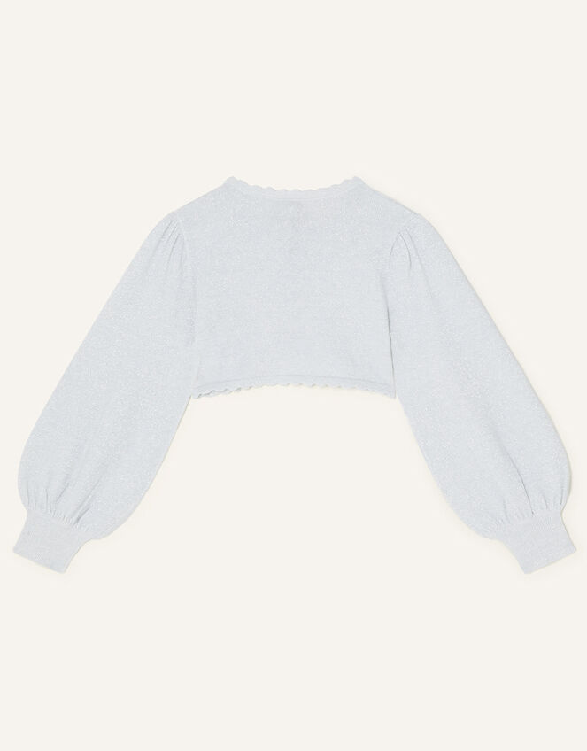 Statement Sleeve Cardigan, Silver (SILVER), large
