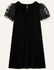 Organza Sleeve Velvet Dress, Black (BLACK), large