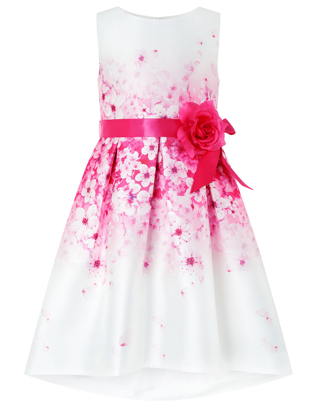 Monsoon blossom dress 2025