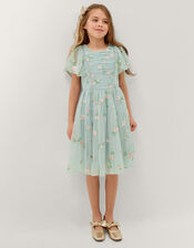 Primrose Embroidered Party Dress, Green (GREEN), large