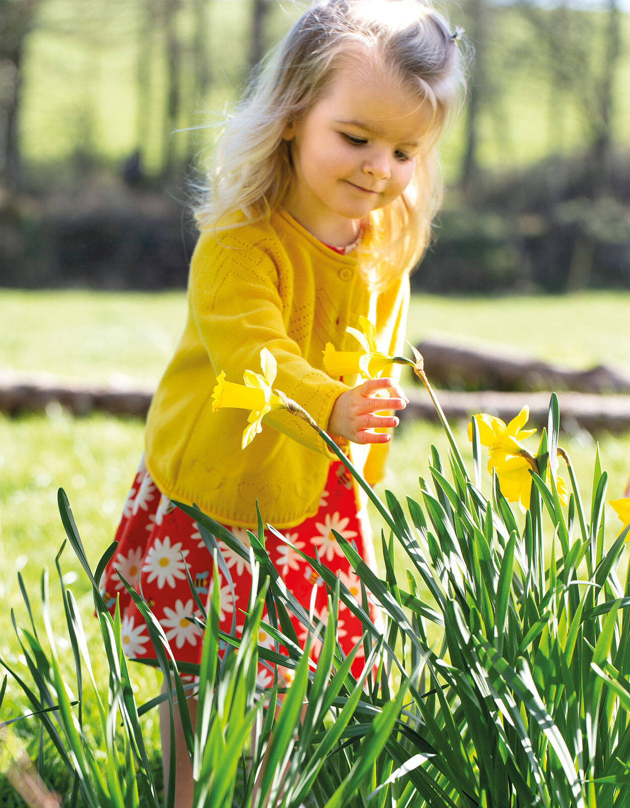Frugi Piper Pointelle Cardigan Yellow