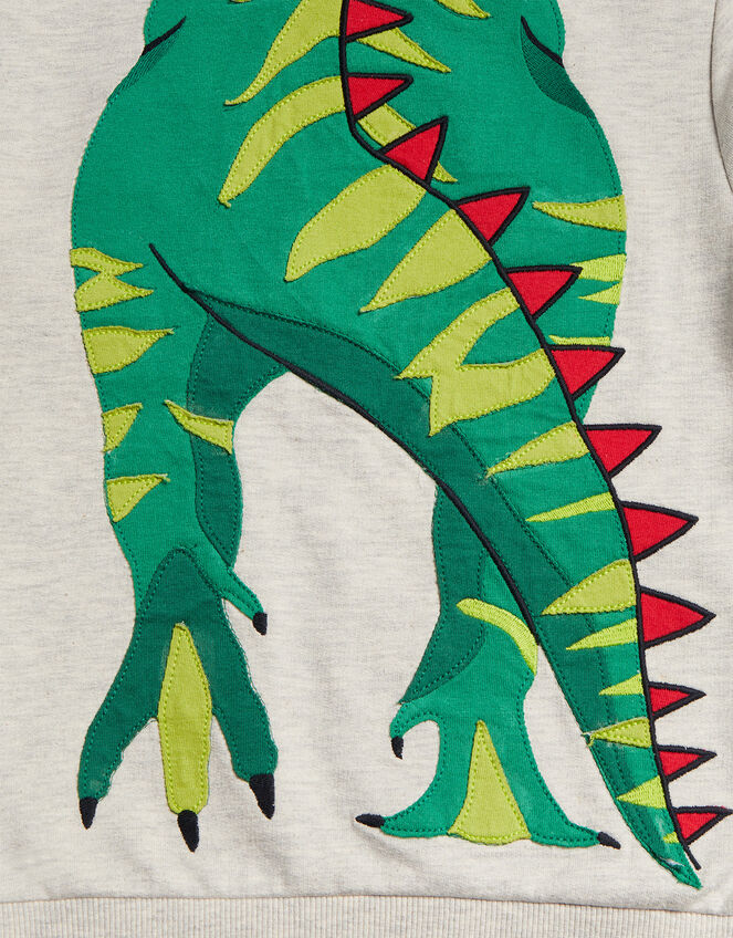 Dinosaur 3D Hoodie, Grey (GREY), large