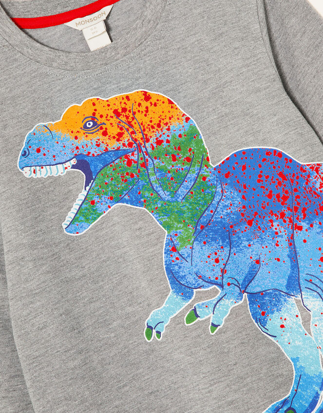 Dinosaur Long Sleeve T-Shirt, Grey (GREY), large