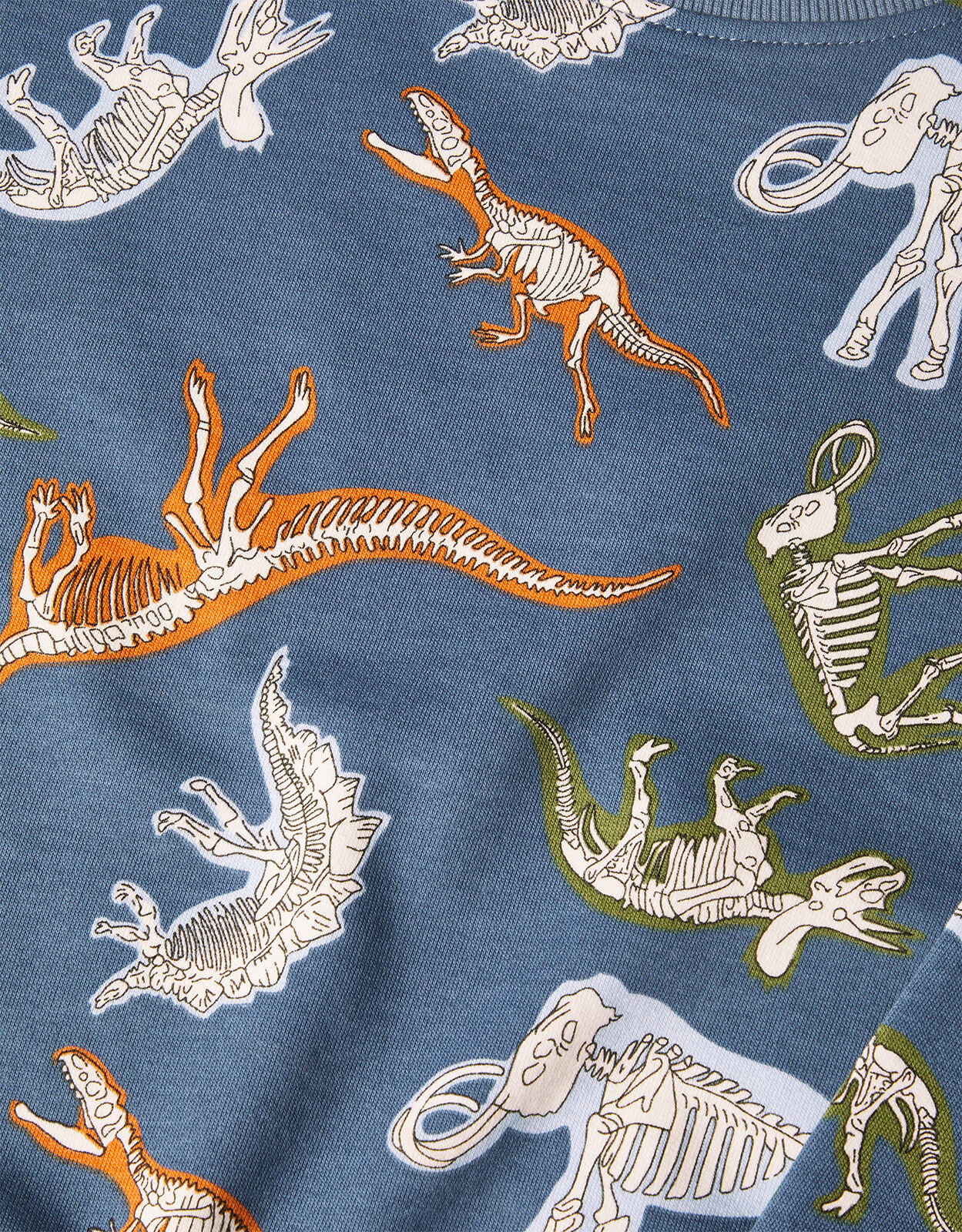 Dinosaur deals print sweatshirt