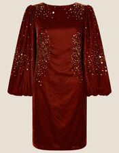 Alice Sequin Tunic Embellished Dress, Brown (CHOCOLATE), large