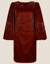 Alice Sequin Tunic Embellished Dress, Brown (CHOCOLATE), large