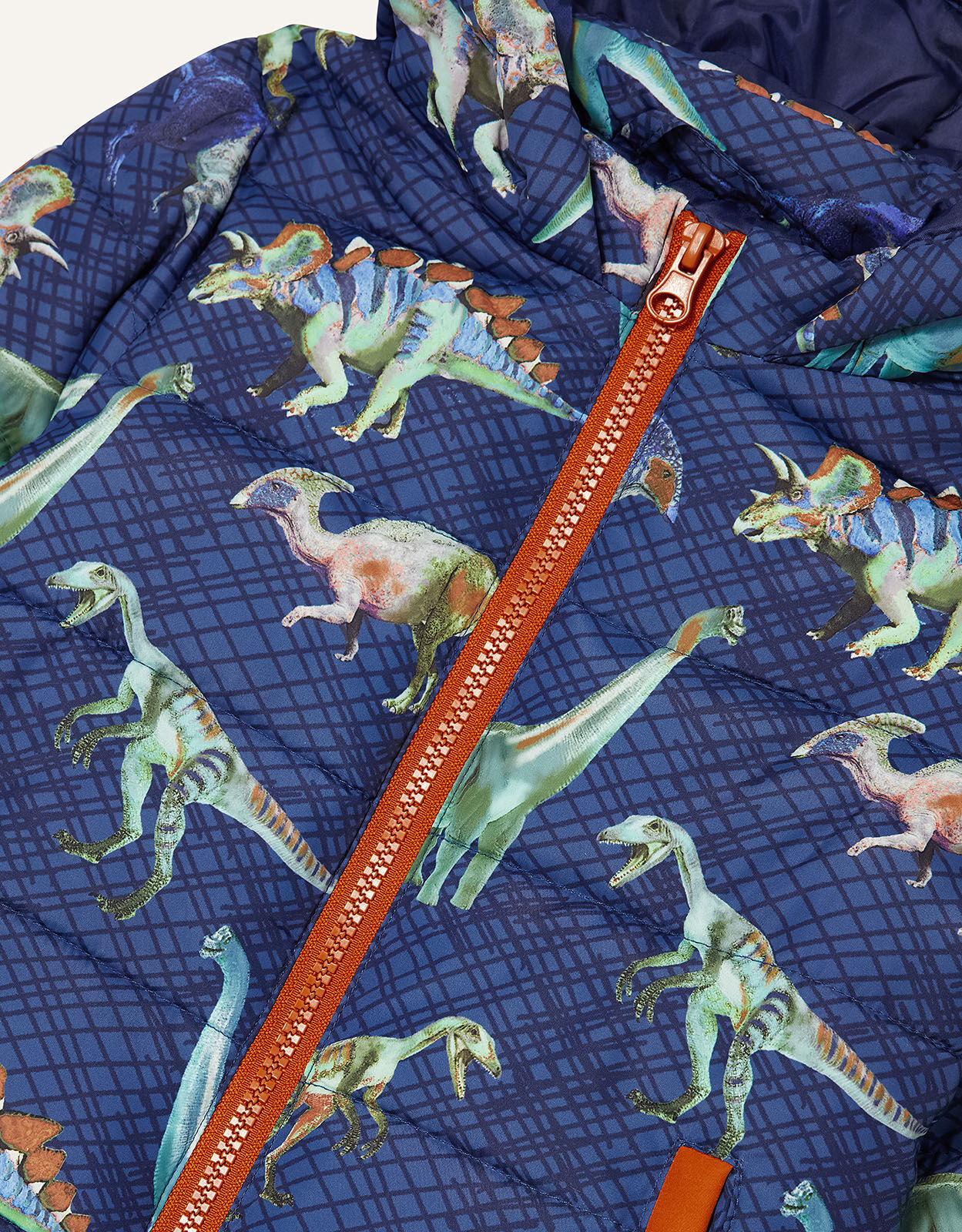 Dinosaur 2025 padded coat