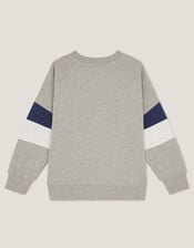 Tiger Varsity Sweatshirt, Grey (GREY), large