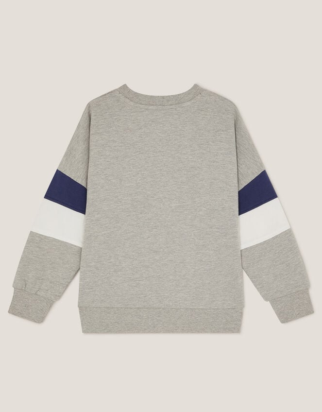 Tiger Varsity Sweatshirt, Grey (GREY), large