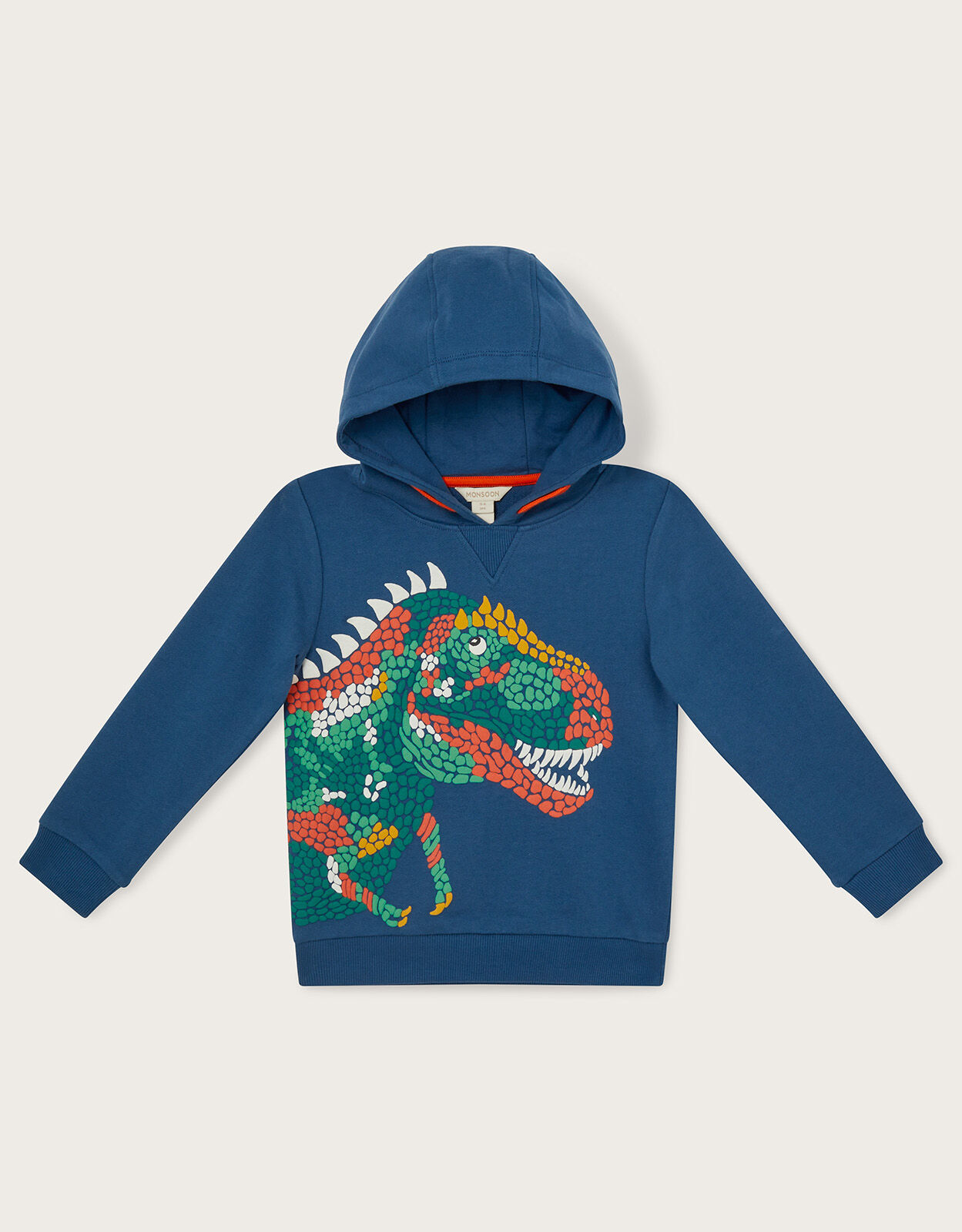 Boys dino hotsell hoodie
