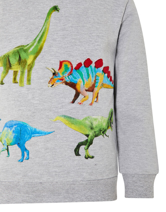 Dinosaur Print Hoody, Grey (GREY), large
