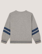 Triceratops Graphic Sweatshirt, Grey (GREY), large