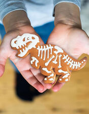 Craft and Crumb T-Rex Fossil Biscuit and Craft Kit, , large