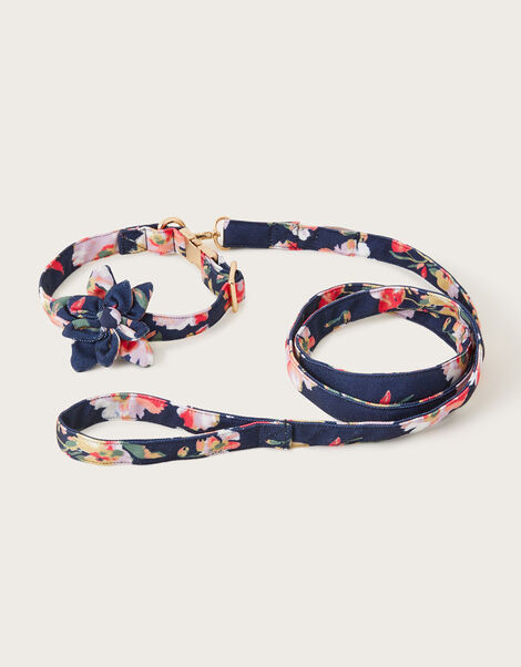 Dog Lead and Collar Set, Blue (NAVY), large
