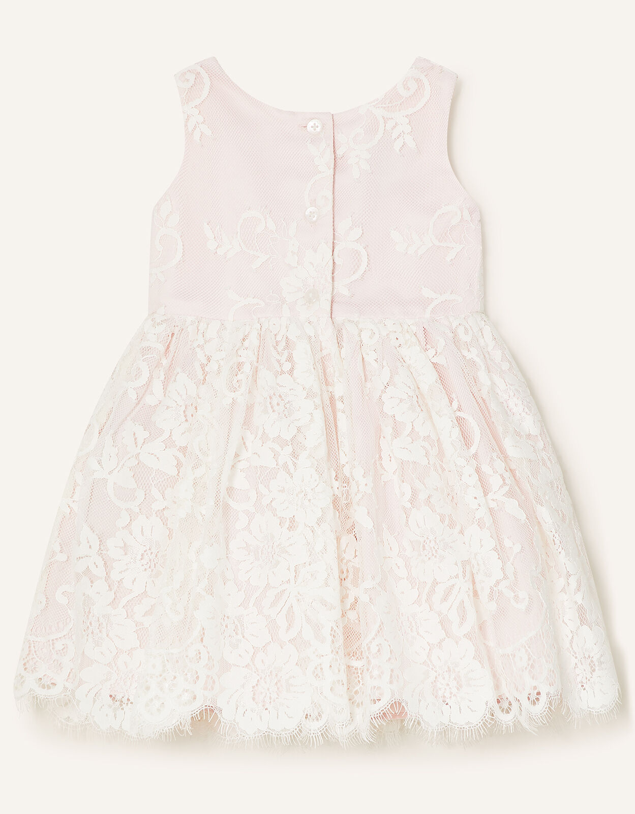 Monsoon valeria 2025 lace dress