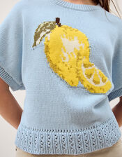 Lizzie Lemon Short Sleeve Jumper, Blue (BLUE), large