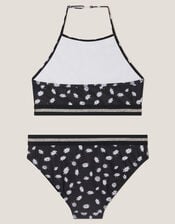 Daisy Print Halter Bikini Set, Black (BLACK), large