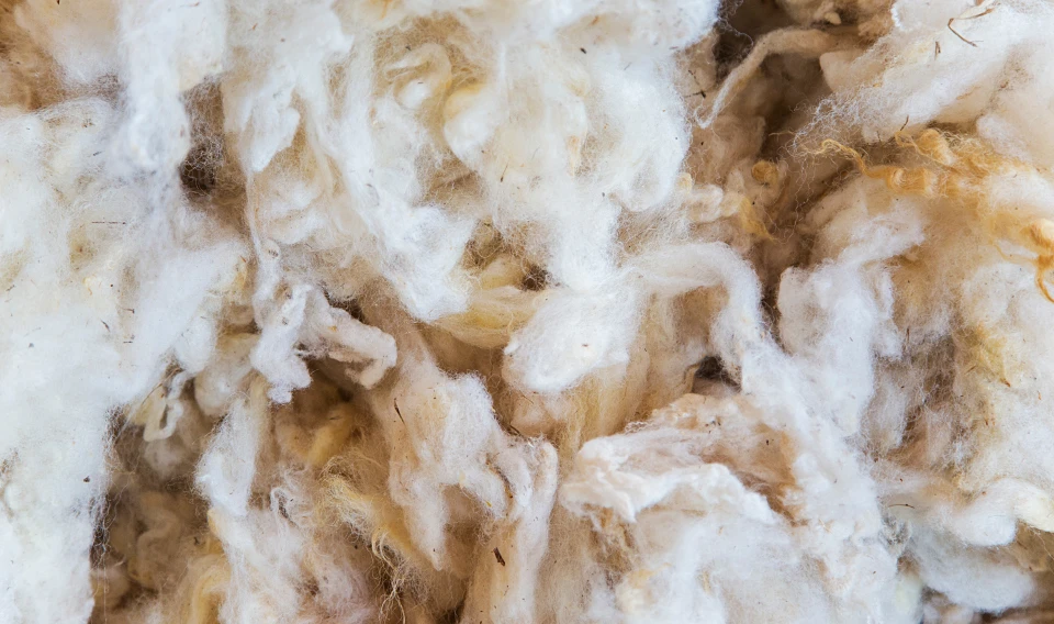 Natural animal-based materials