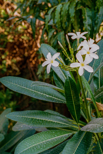 Trust story gallery image 11